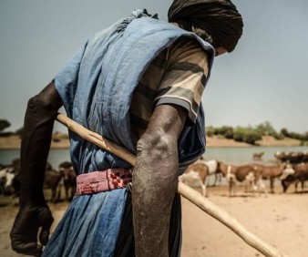 a shepherd from Mauritania